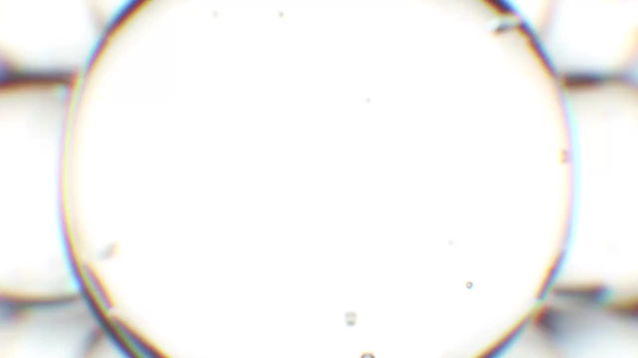 血液细胞显微影像
