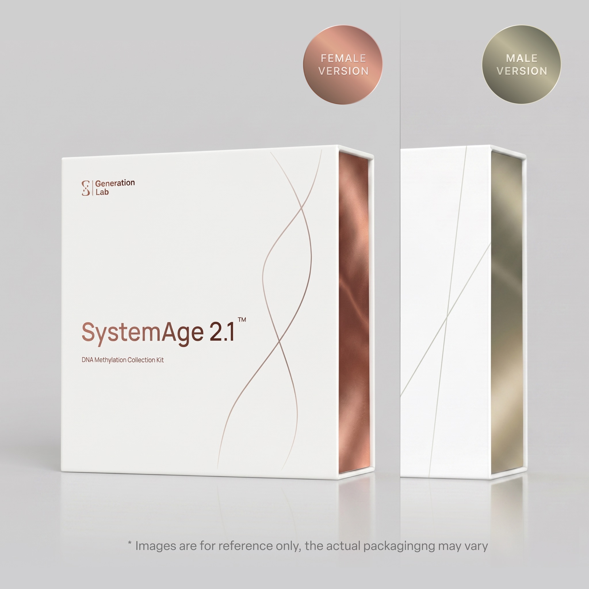SystemAge 2.1 检测盒正面