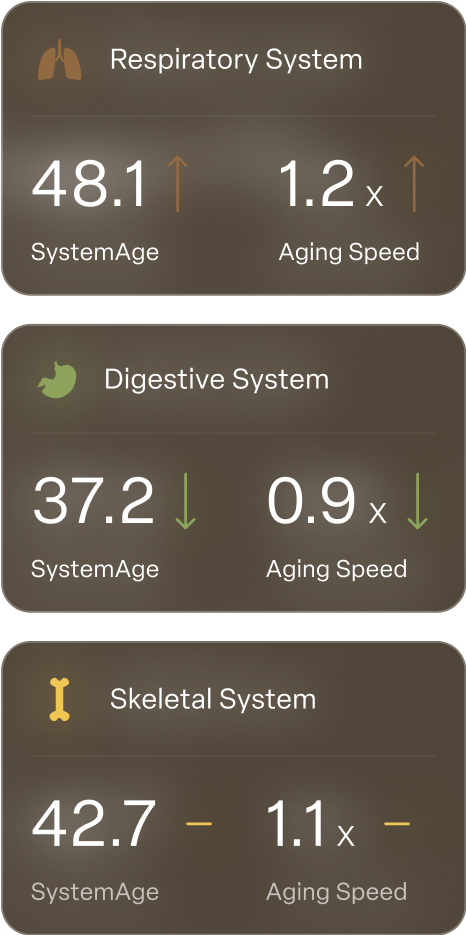 呼吸、消化与骨骼系统的 SystemAge 与衰老速度卡片