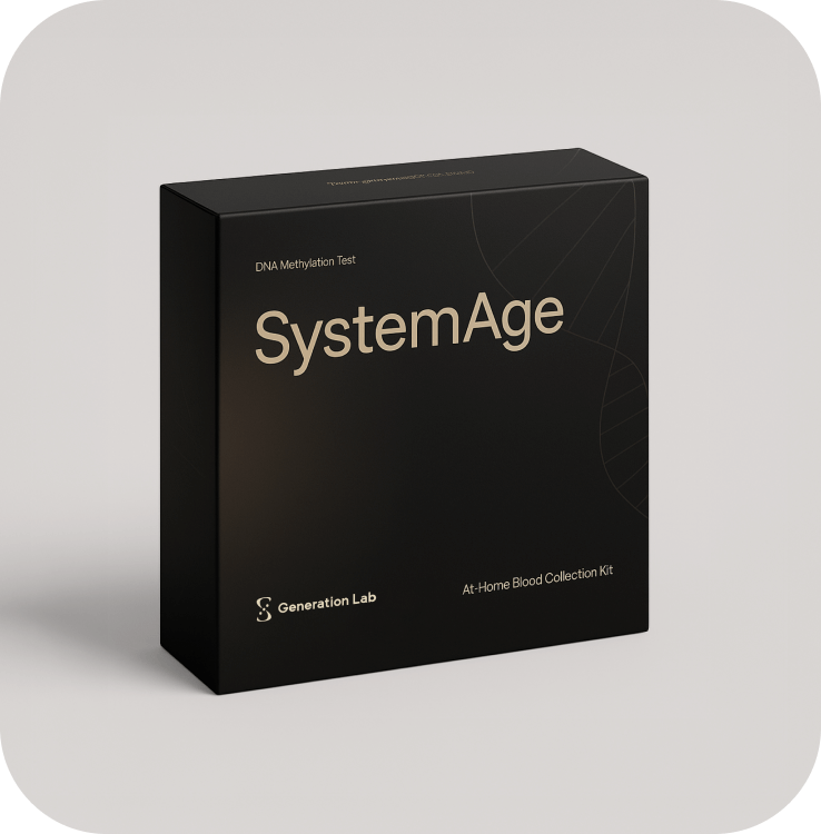 SystemAge 检测盒